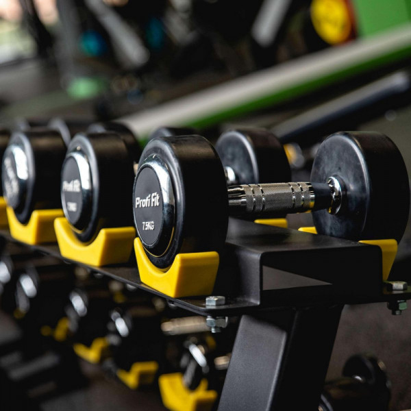 Гантельный ряд профессиональный (шаг 2,5 кг, 10 пар) 2,5-25 кг PROFI-FIT