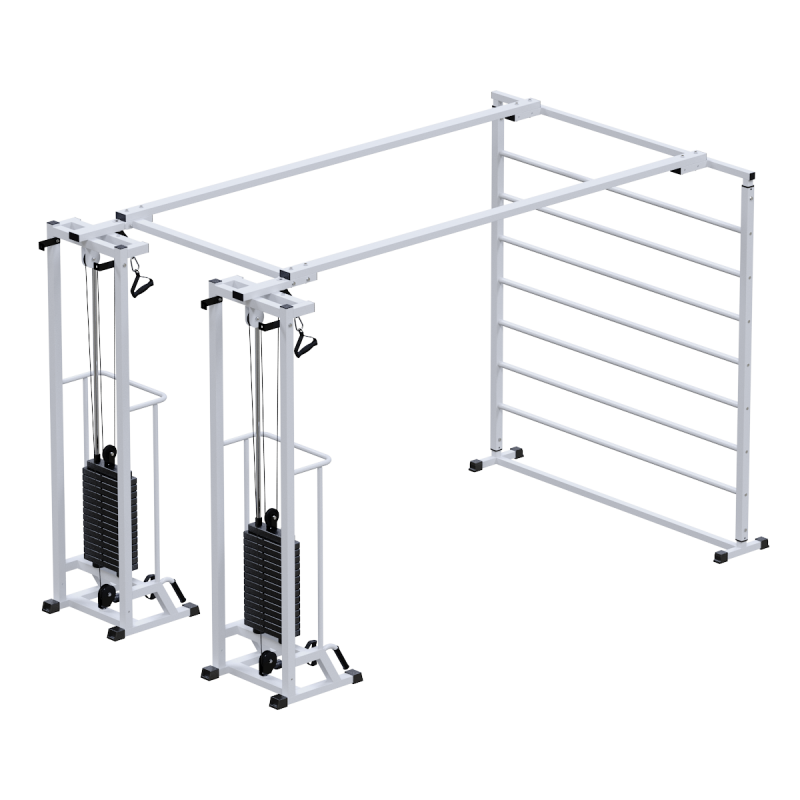 Биотонус-2+шведская стенка (стек 2х75кг) h 2,2 м