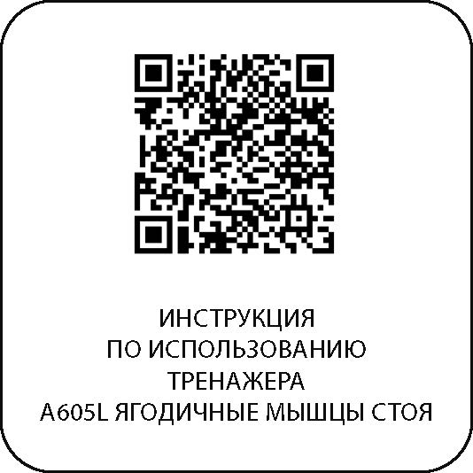 Ягодичные мышцы стоя DHZ A605L