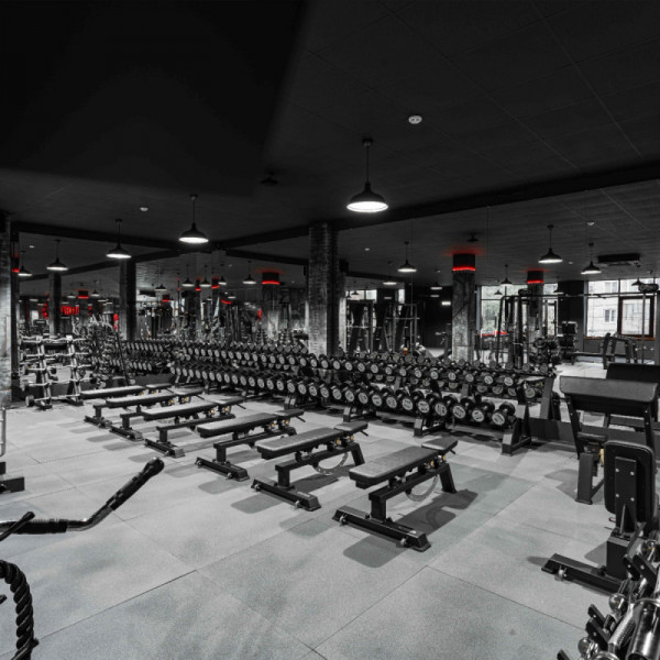 Набор изогнутых полиуретановых штанг (шаг 5 кг, 5 шт) 10-30 кг PROFI-FIT