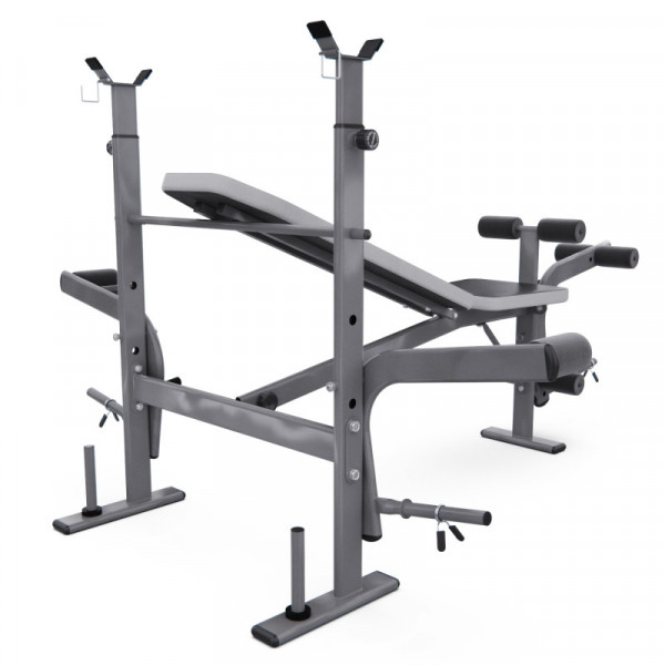 Скамья под штангу DFC D702
